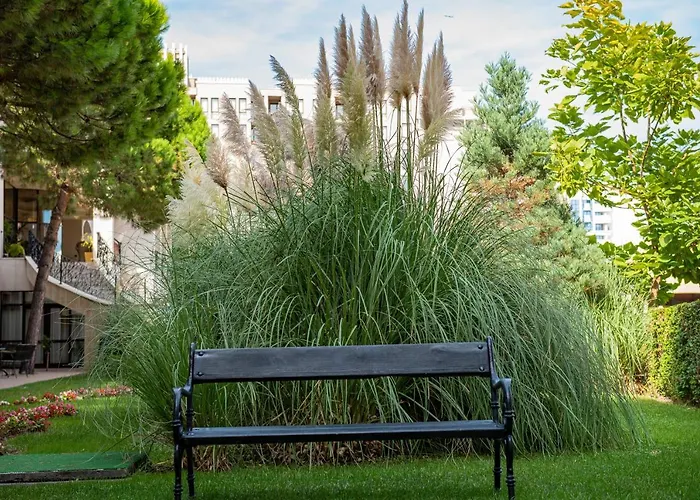 Menada In Royal * Slantschew brjag